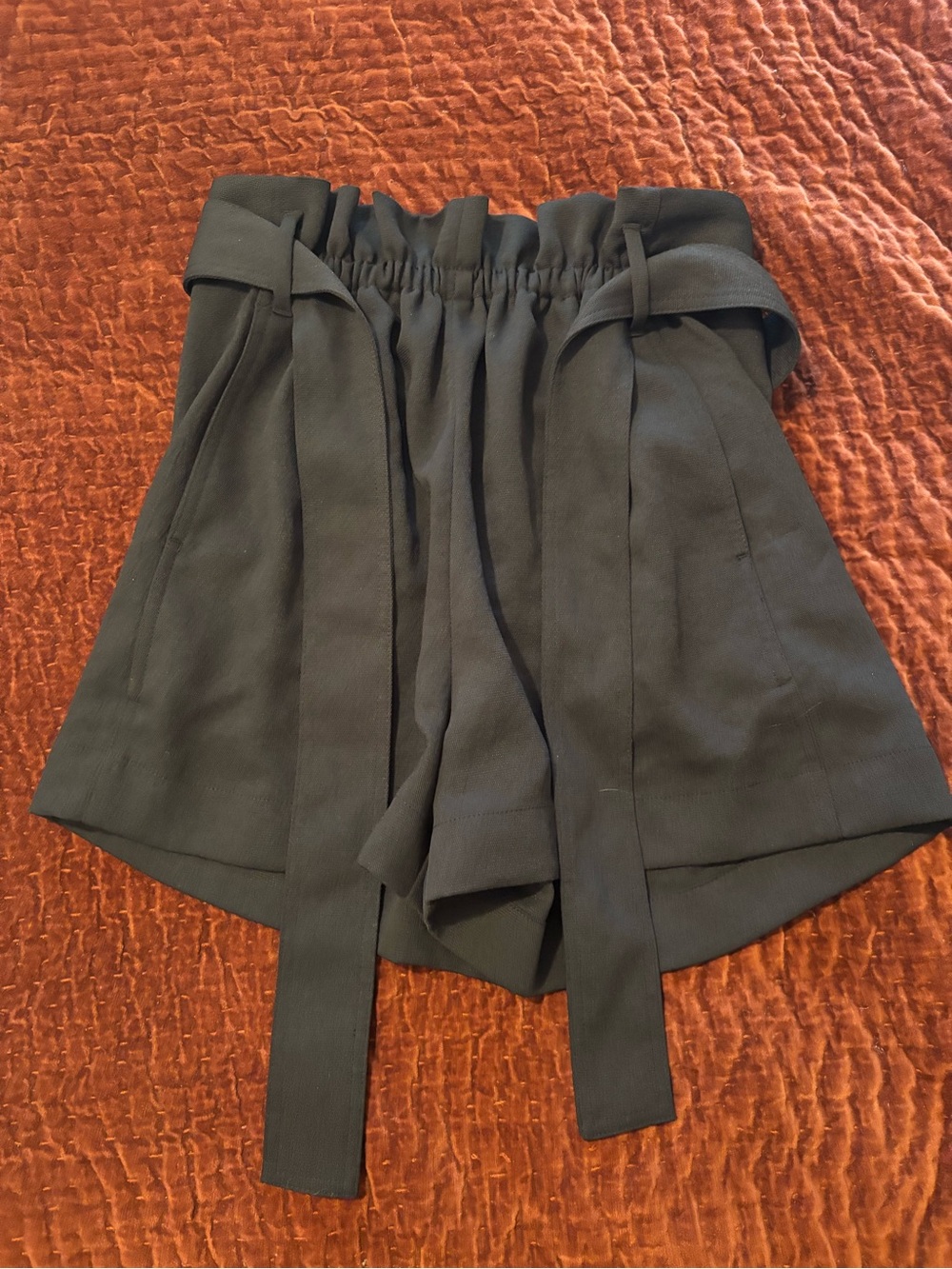 Aritzia/Wilfred Paper Bag Crepette Shorts - Black Size 6